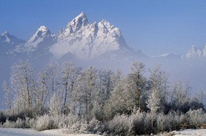 Snow capped winterland